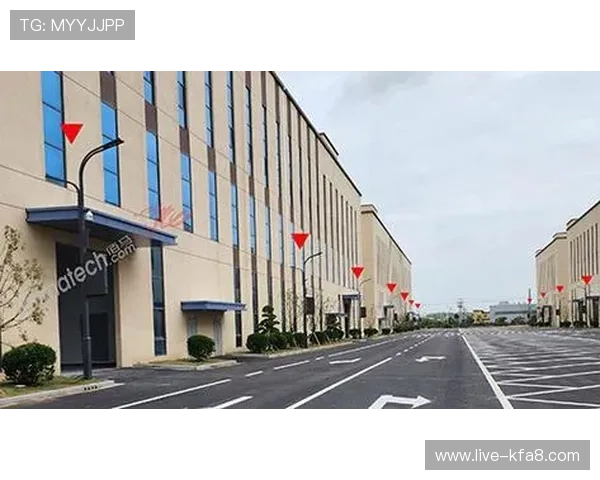 k8凯发(中国)天生赢家：分析其在中国市场的用户增长与市场份额扩展策略